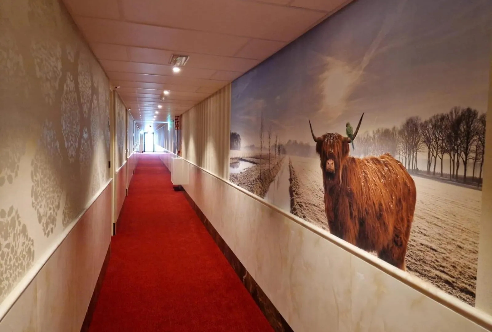 Chasse Hotel Residency أمستردام 4*,